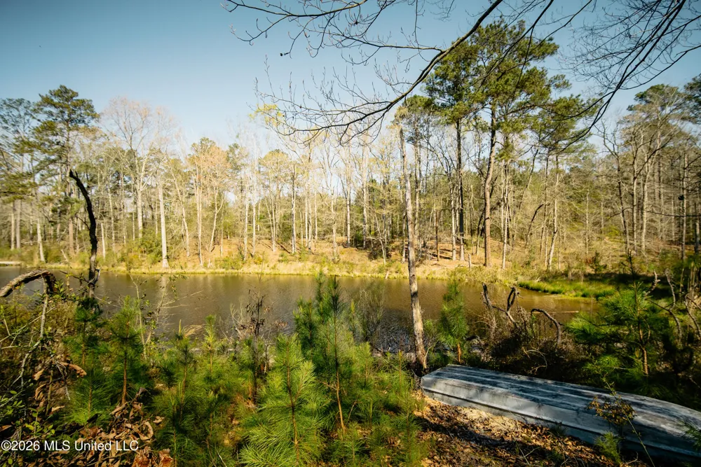 646 Harrisville Road Braxton, MS 39044
