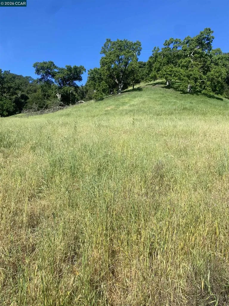 Toyon Road Lafayette, CA 94549