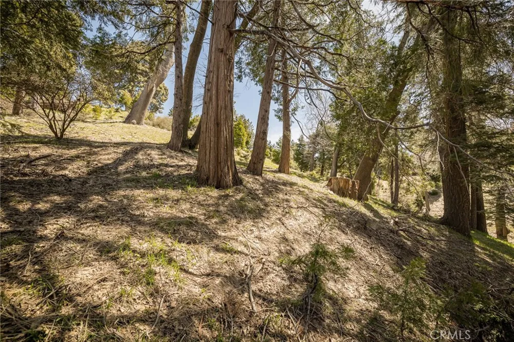 226 Hidden Forest Road Lake Arrowhead, CA 92352