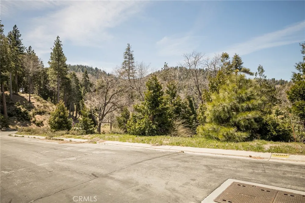 226 Hidden Forest Road Lake Arrowhead, CA 92352