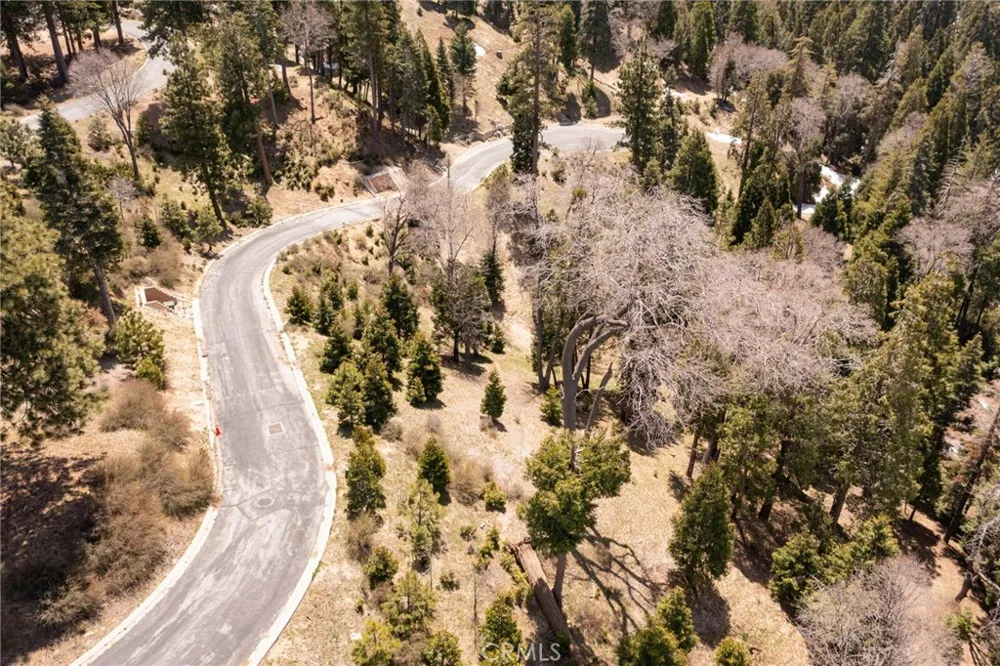 226 Hidden Forest Road Lake Arrowhead, CA 92352