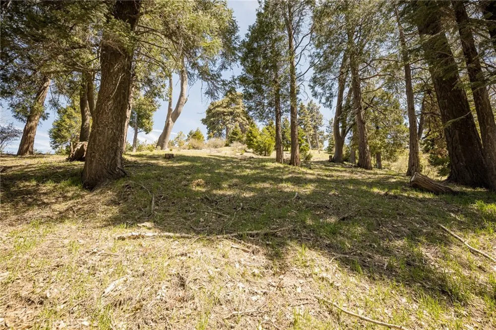 226 Hidden Forest Road Lake Arrowhead, CA 92352