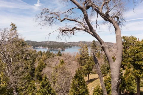 226 Hidden Forest Road