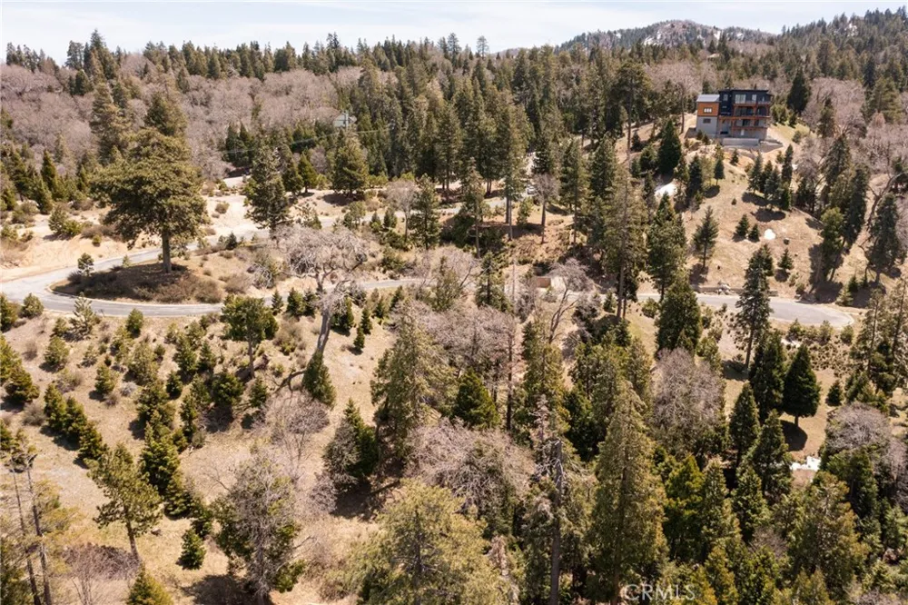 226 Hidden Forest Road Lake Arrowhead, CA 92352