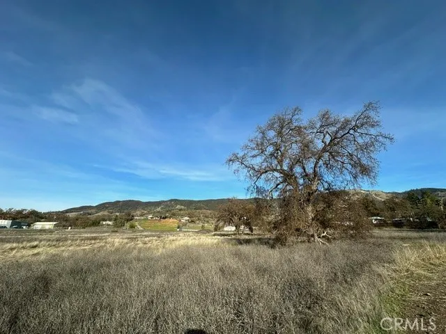 6965 Hammond Avenue Upper Lake, CA 95485