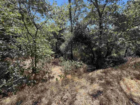 Whispering Pines Drive