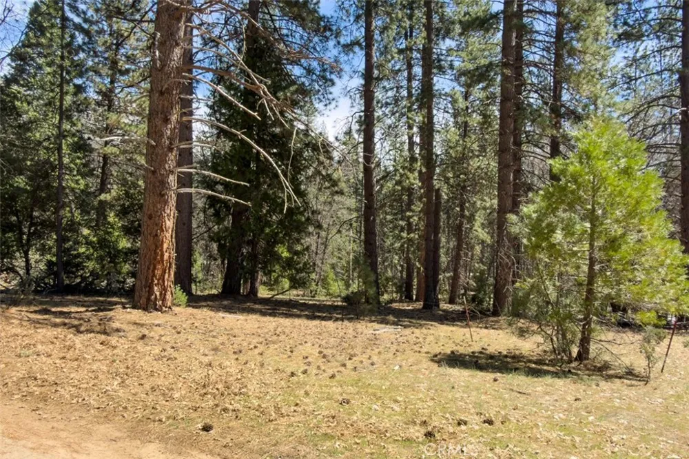 2701 Spelt Yosemite, CA 95389