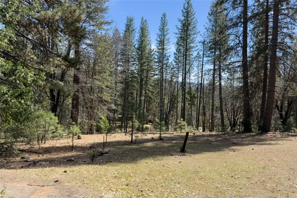 2701 Spelt Yosemite, CA 95389