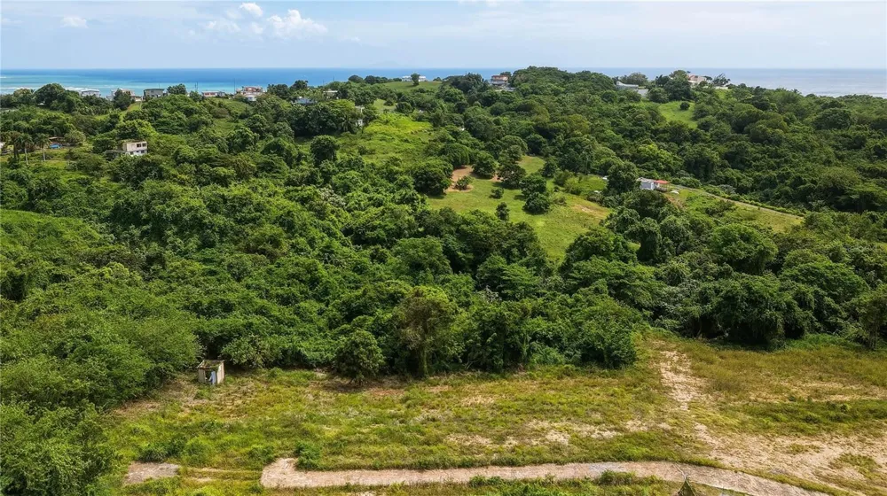 Lots 8, 11, 11A, 11B, 11C CAMINO NUEVO Yabucoa, PR 00767