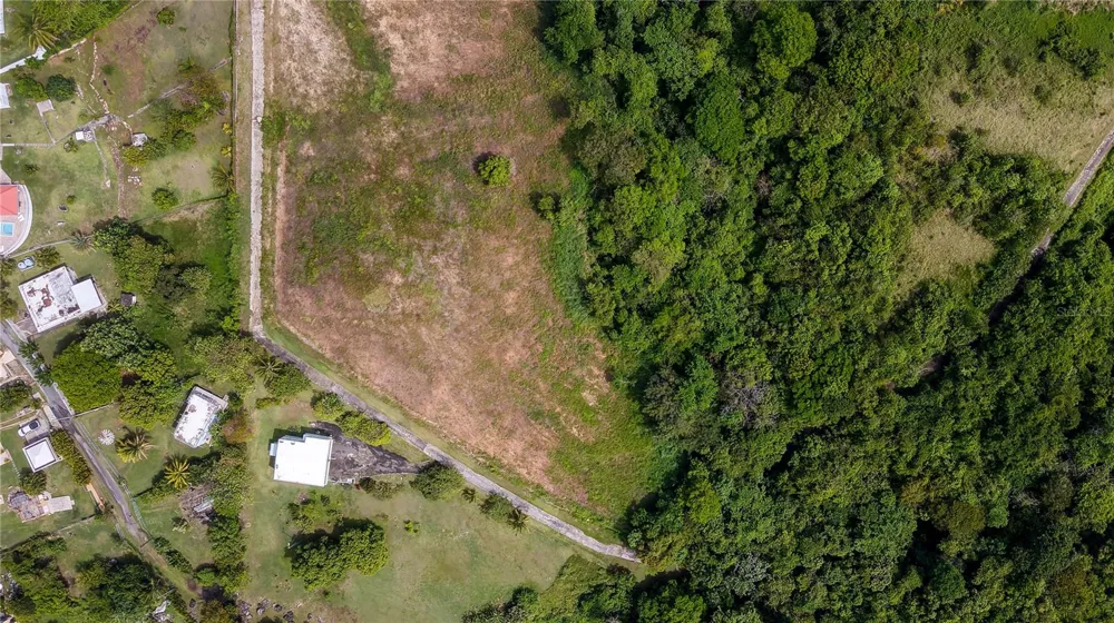 Lots 8, 11, 11A, 11B, 11C CAMINO NUEVO Yabucoa, PR 00767