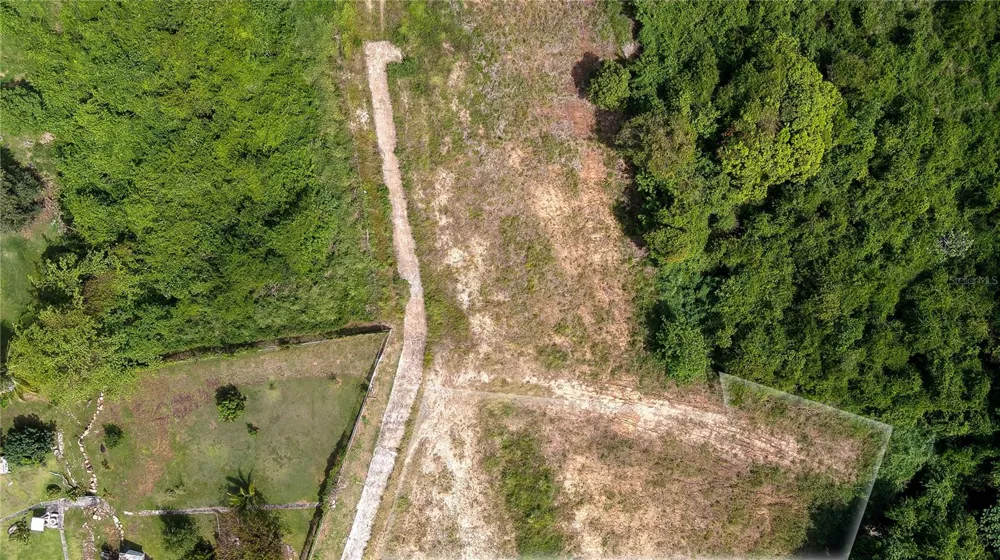 Lots 8, 11, 11A, 11B, 11C CAMINO NUEVO Yabucoa, PR 00767