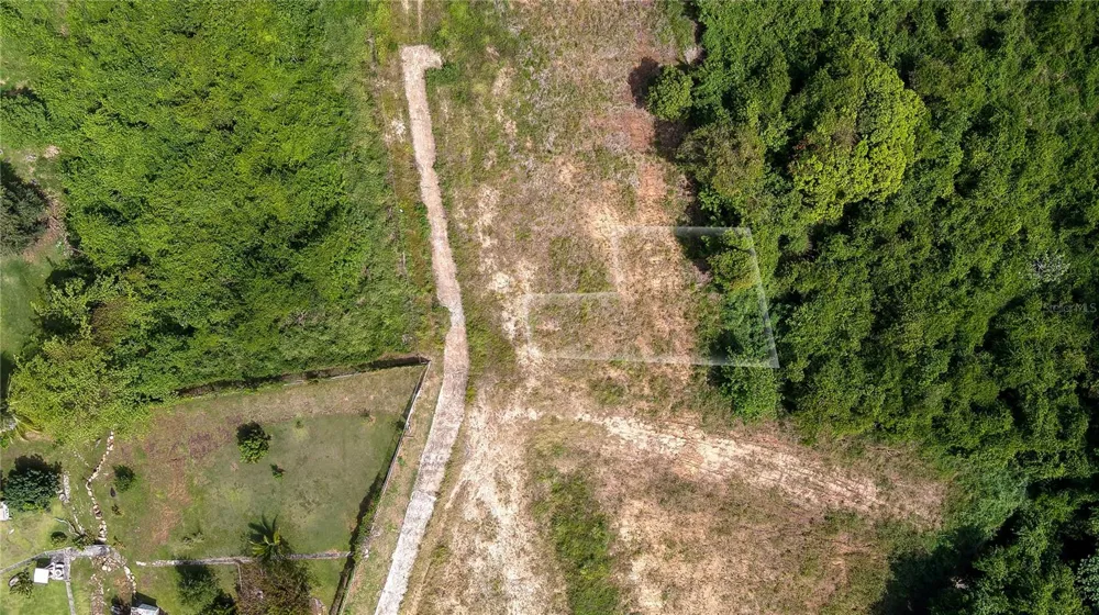 Lots 8, 11, 11A, 11B, 11C CAMINO NUEVO Yabucoa, PR 00767