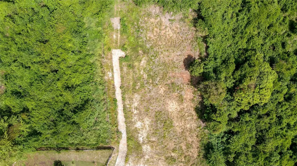 Lots 8, 11, 11A, 11B, 11C CAMINO NUEVO Yabucoa, PR 00767