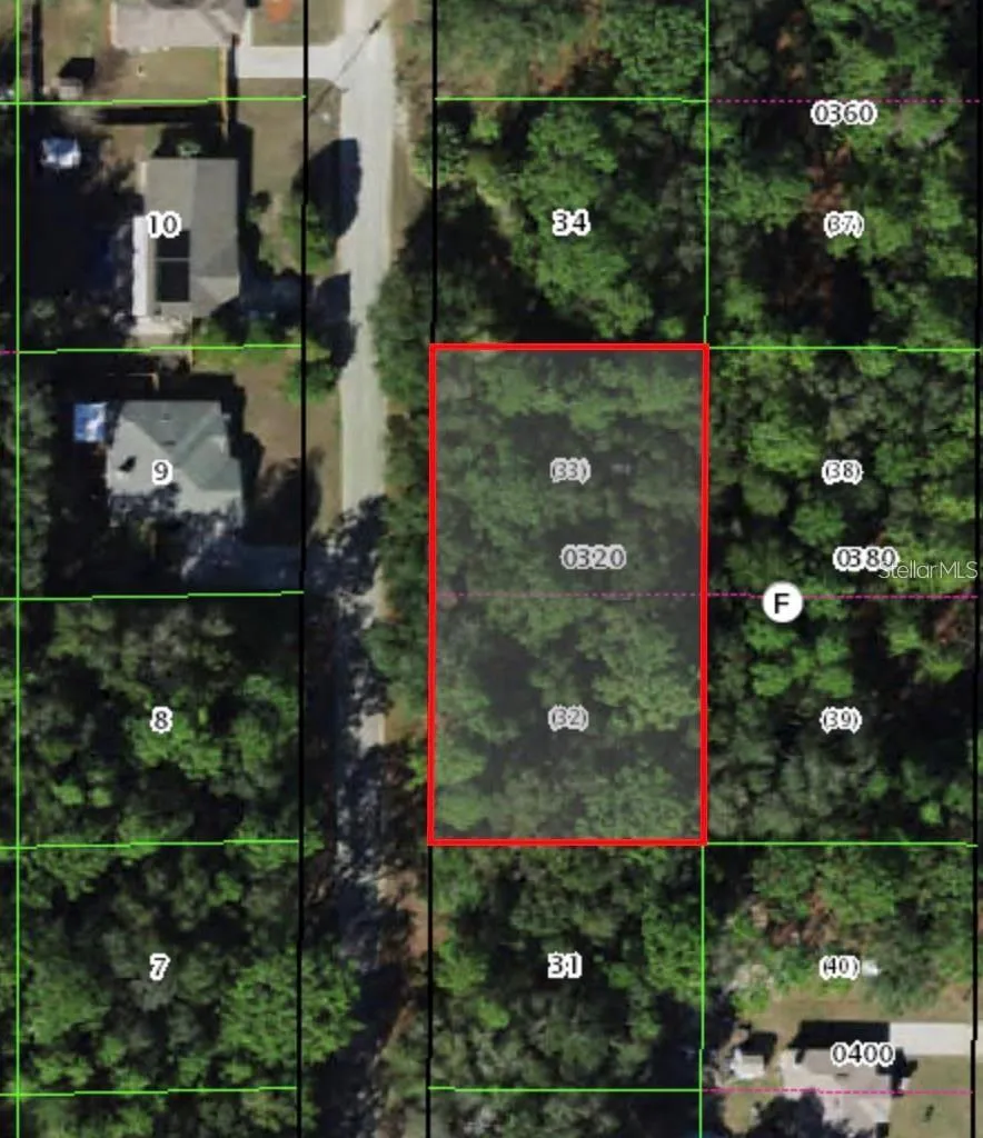 8646 DISCALFANI LOOP Crystal River, FL 34428