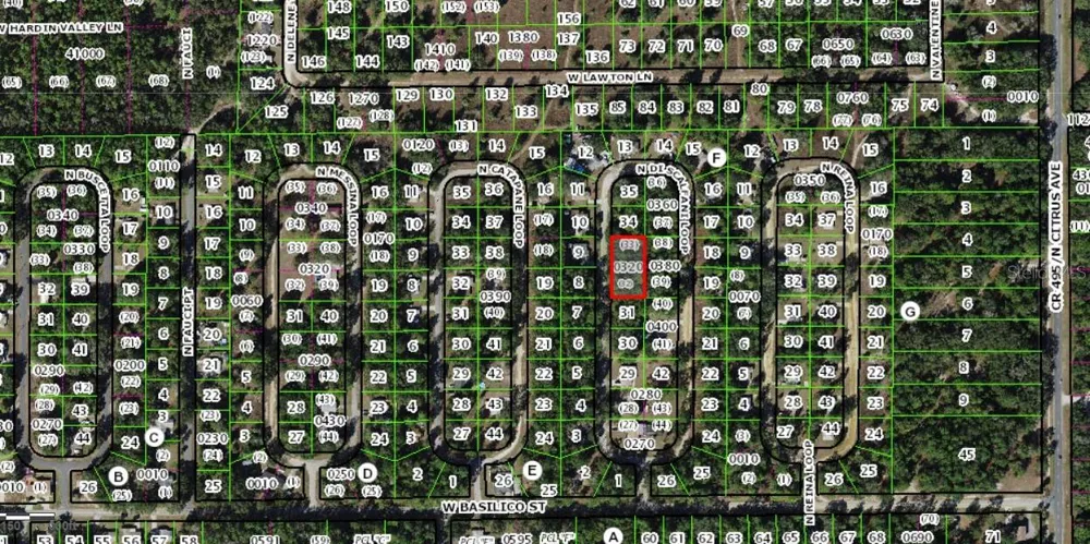 8646 DISCALFANI LOOP Crystal River, FL 34428