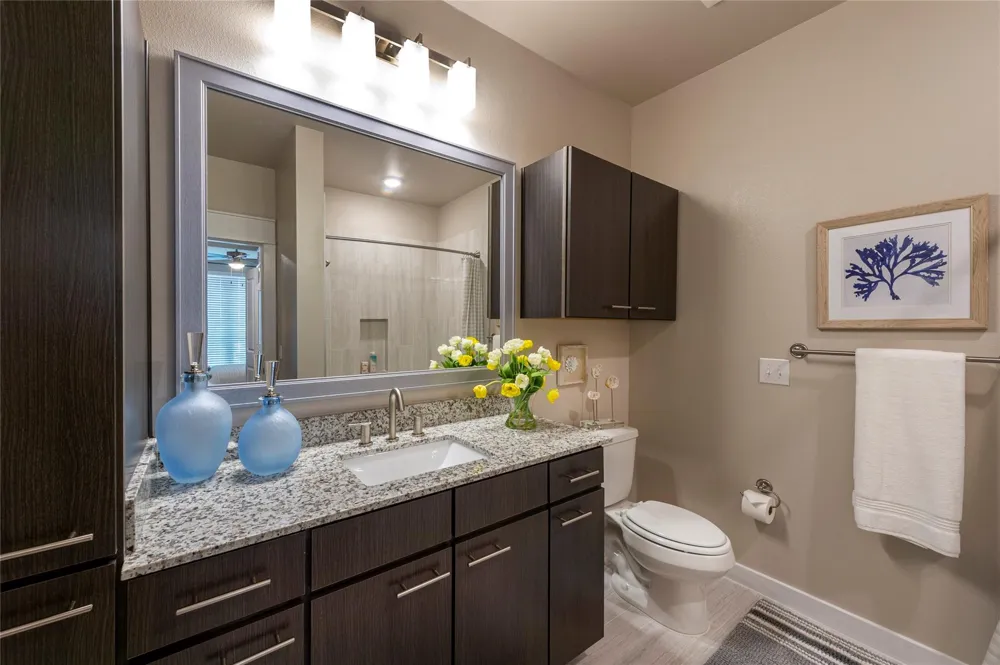 1616 Partnership Way #2425 Katy, TX 77449