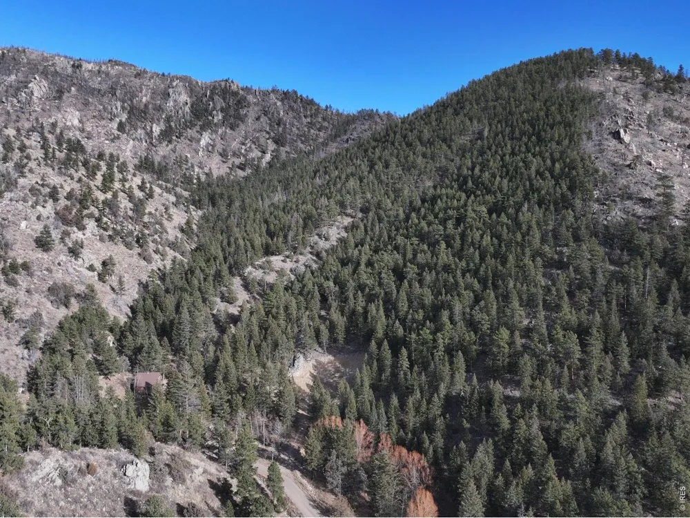 416 Black Creek Drive Glen Haven, CO 80532