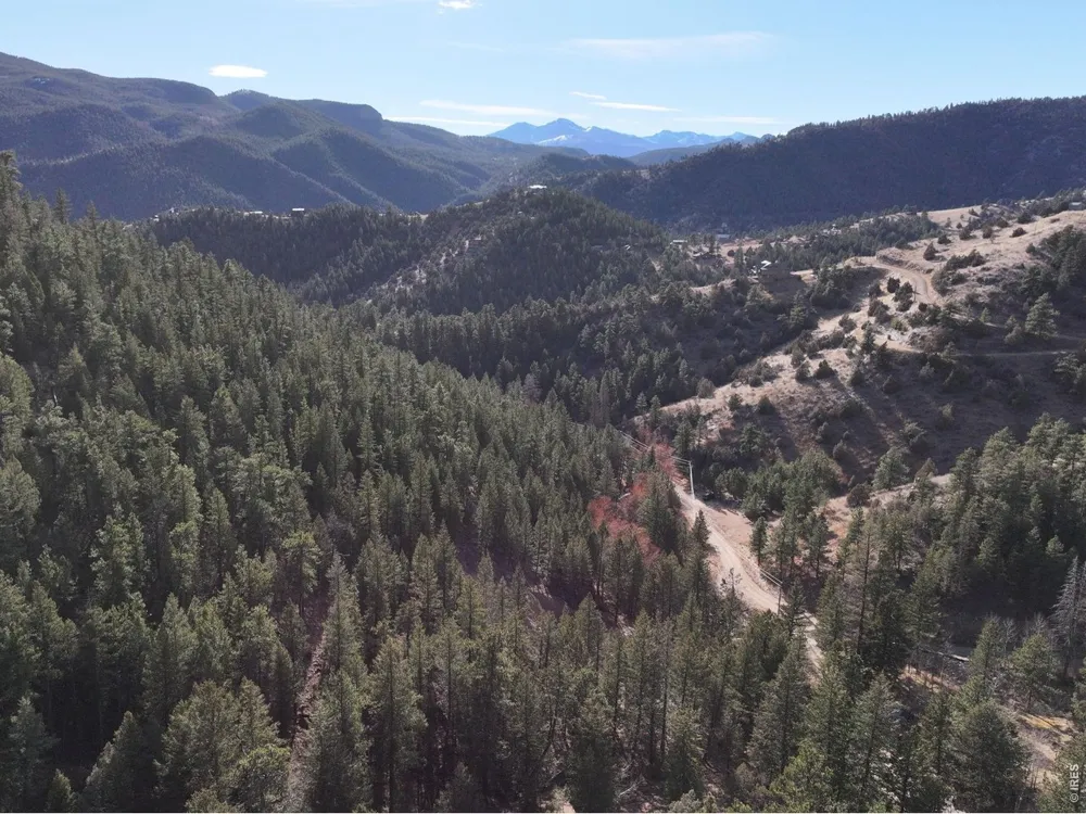 416 Black Creek Drive Glen Haven, CO 80532