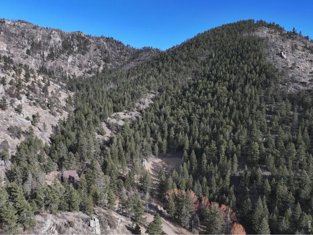 416 Black Creek Drive Glen Haven, CO 80532