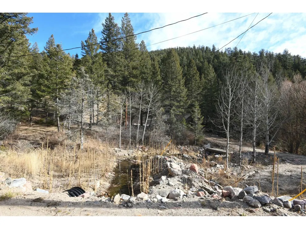 416 Black Creek Drive Glen Haven, CO 80532