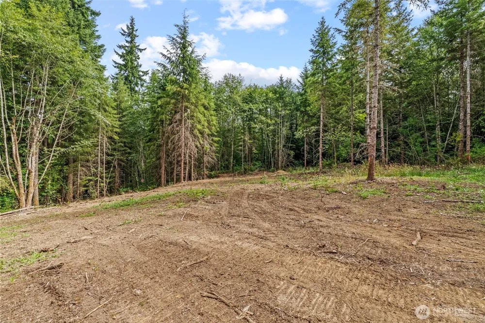 217 Durins Place Castle Rock, WA 98611