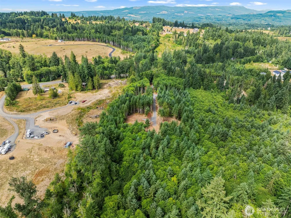 217 Durins Place Castle Rock, WA 98611