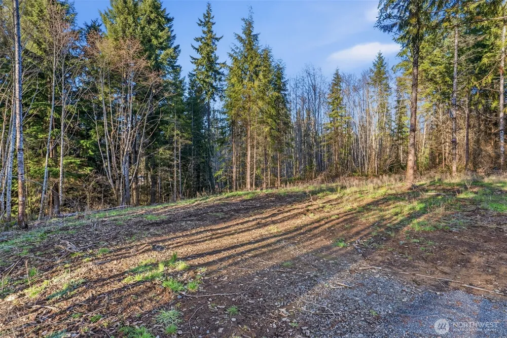 217 Durins Place Castle Rock, WA 98611
