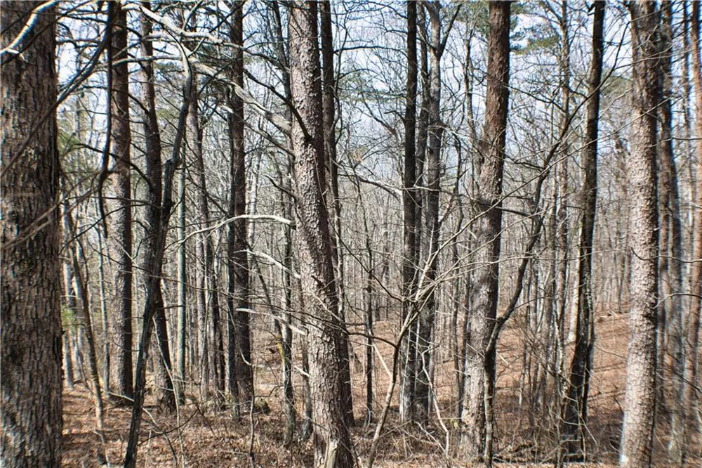 0 157 Highway Rising Fawn, GA 30738