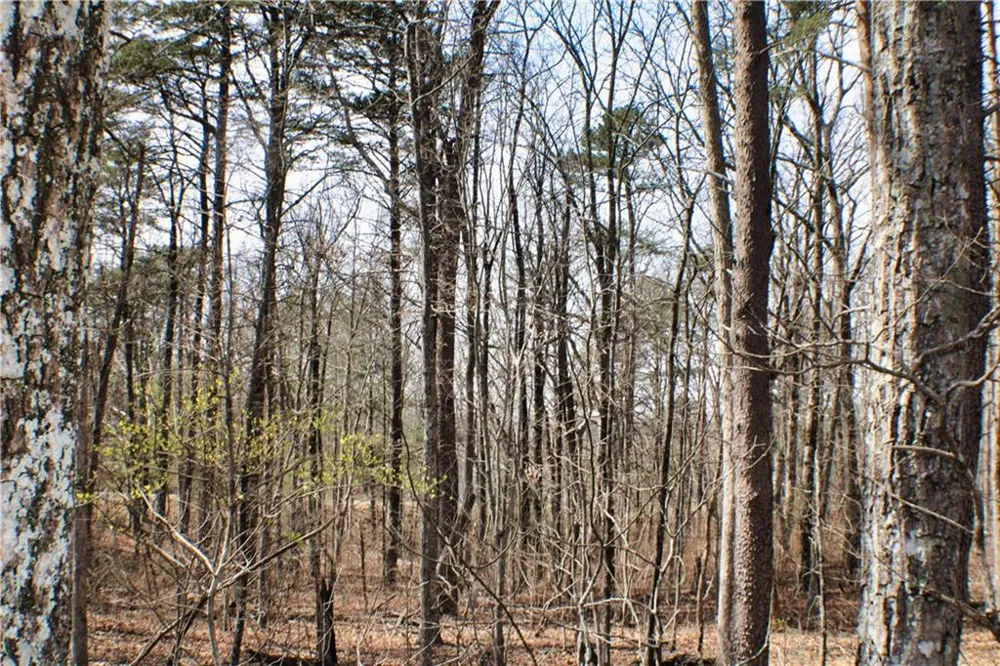 0 157 Highway Rising Fawn, GA 30738