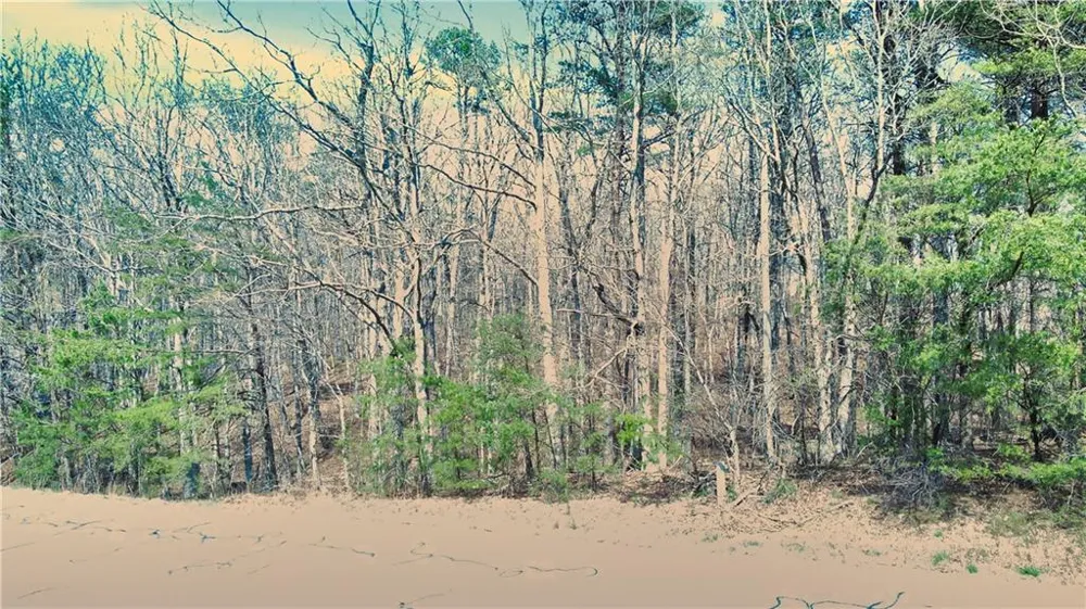 0 157 Highway Rising Fawn, GA 30738