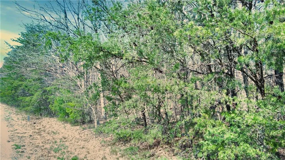 0 157 Highway Rising Fawn, GA 30738