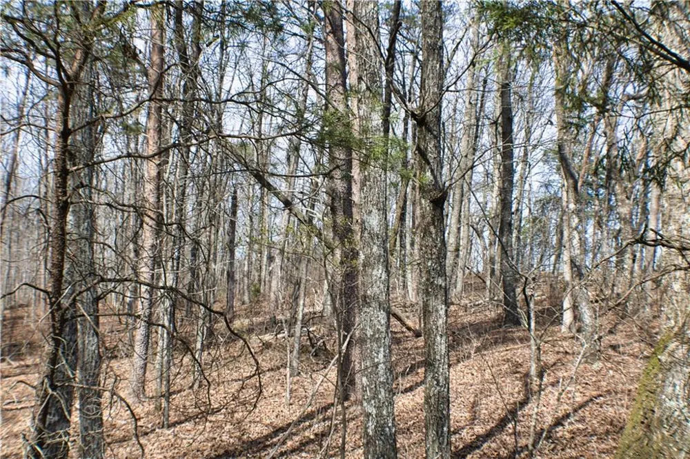 0 157 Highway Rising Fawn, GA 30738