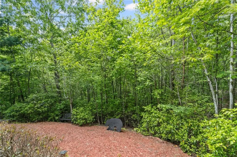85 Post Oak Lane Big Canoe, GA 30143