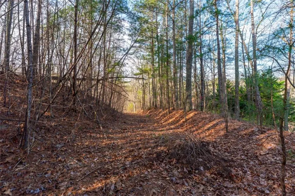 14 Hawks Branch Lane White, GA 30184