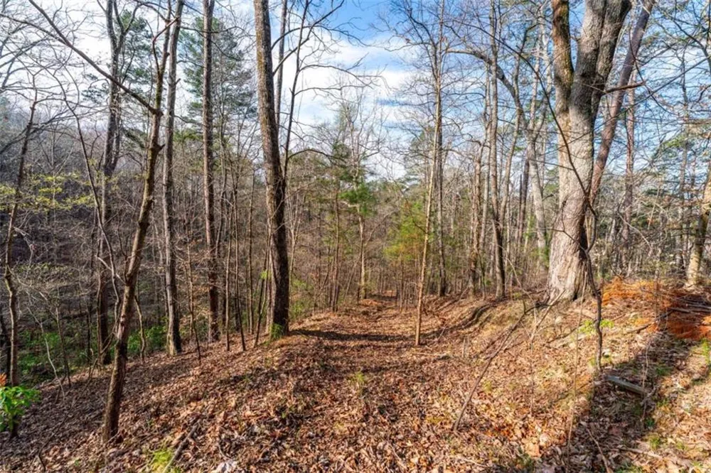 14 Hawks Branch Lane White, GA 30184