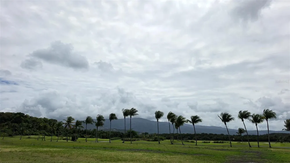 Coco Beach S 110 GAVIOTA #110 Rio Grande, PR 00745