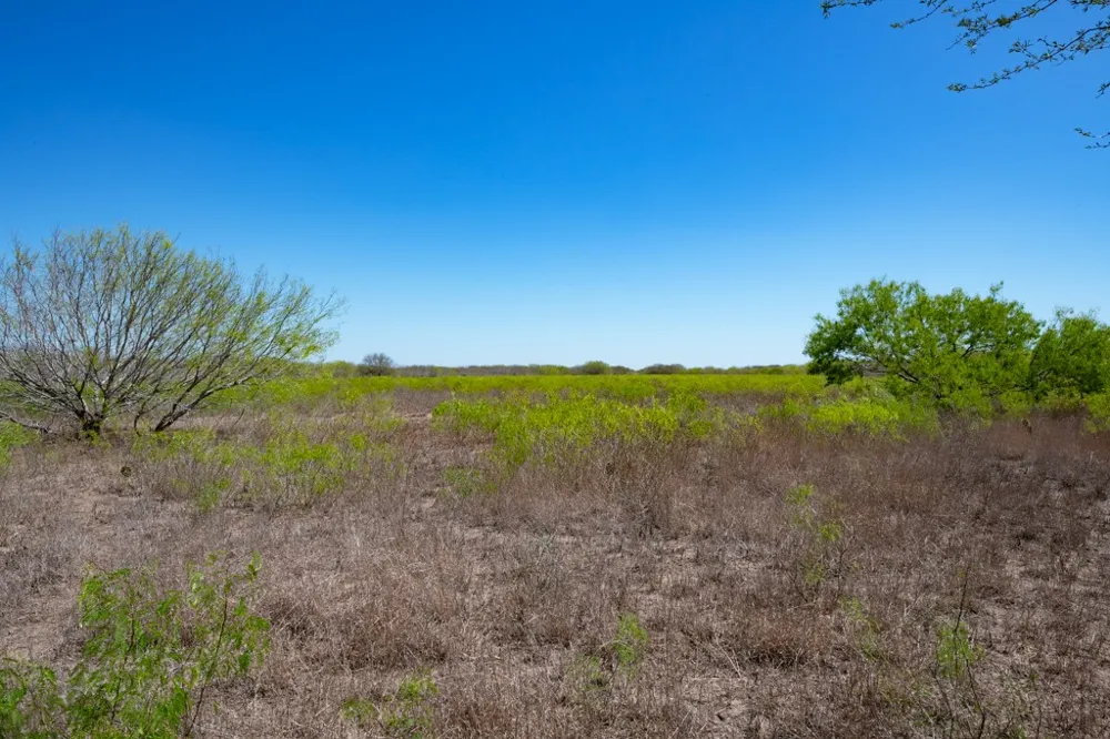 1205 Hwy 44 Highway W San Diego, TX 78384
