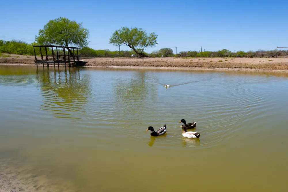 1205 Hwy 44 Highway W San Diego, TX 78384
