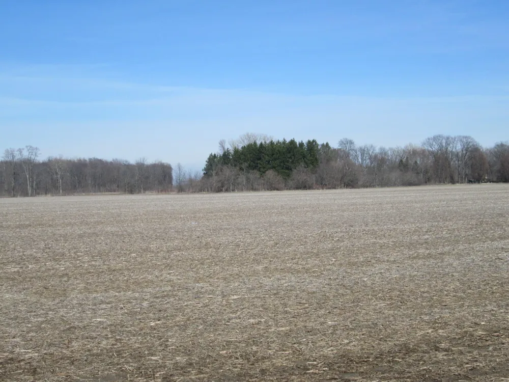 W Lemon Creek Road #4 Baroda, MI 49101