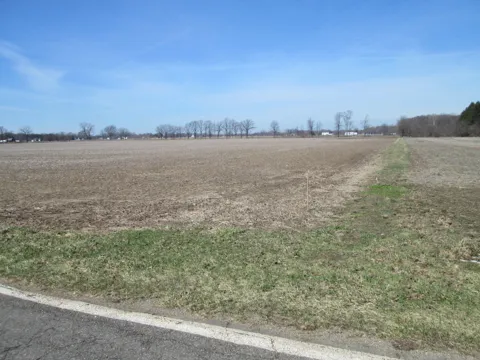W Lemon Creek Road #4