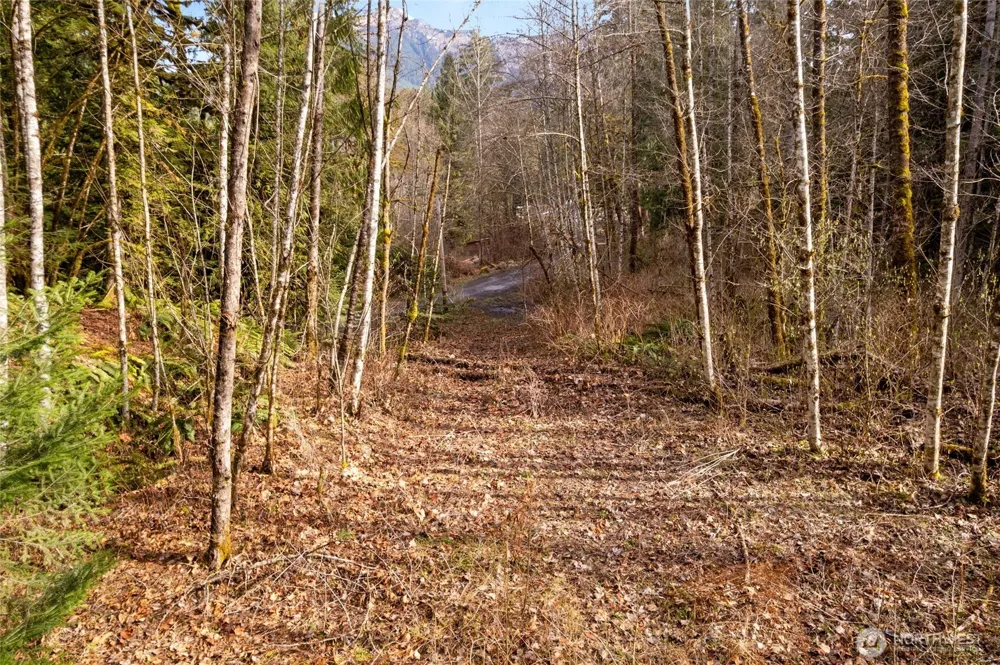 10211 Mt Baker Hwy Deming, WA 98244