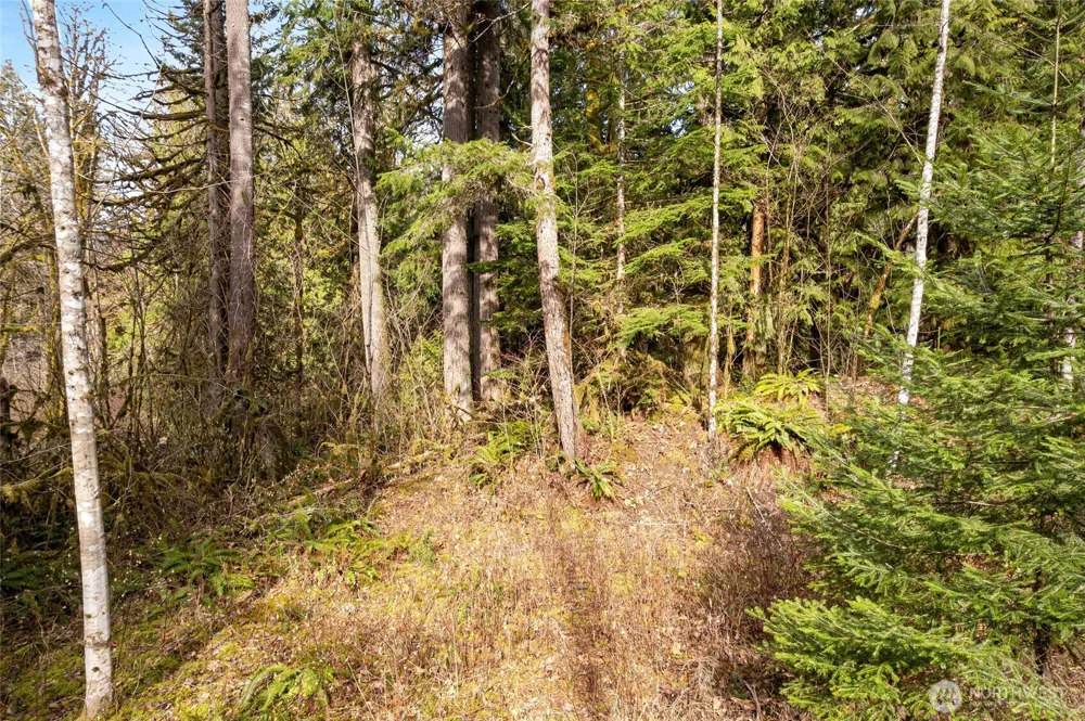 10211 Mt Baker Hwy Deming, WA 98244