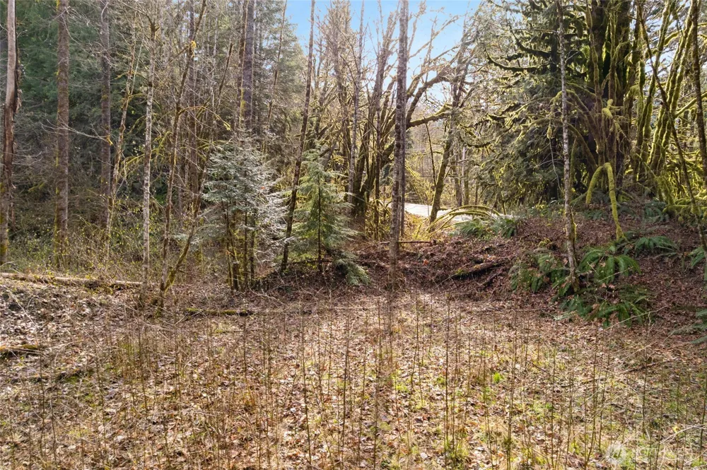 10211 Mt Baker Hwy Deming, WA 98244