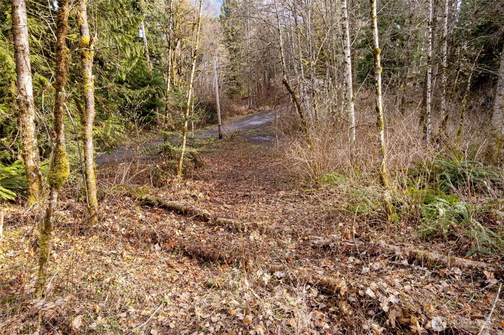10211 Mt Baker Hwy Deming, WA 98244
