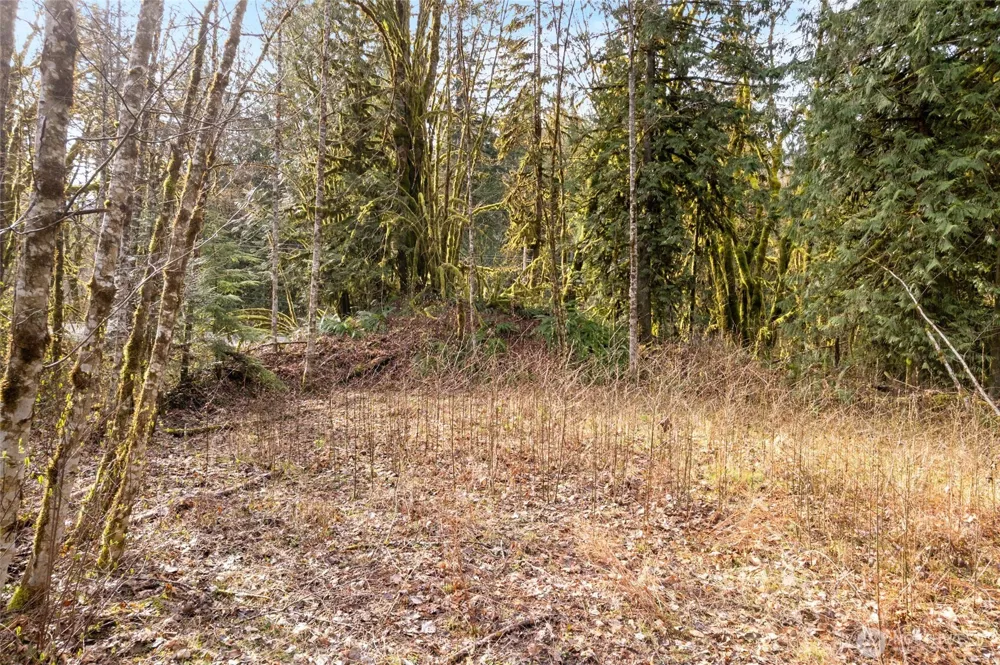 10211 Mt Baker Hwy Deming, WA 98244