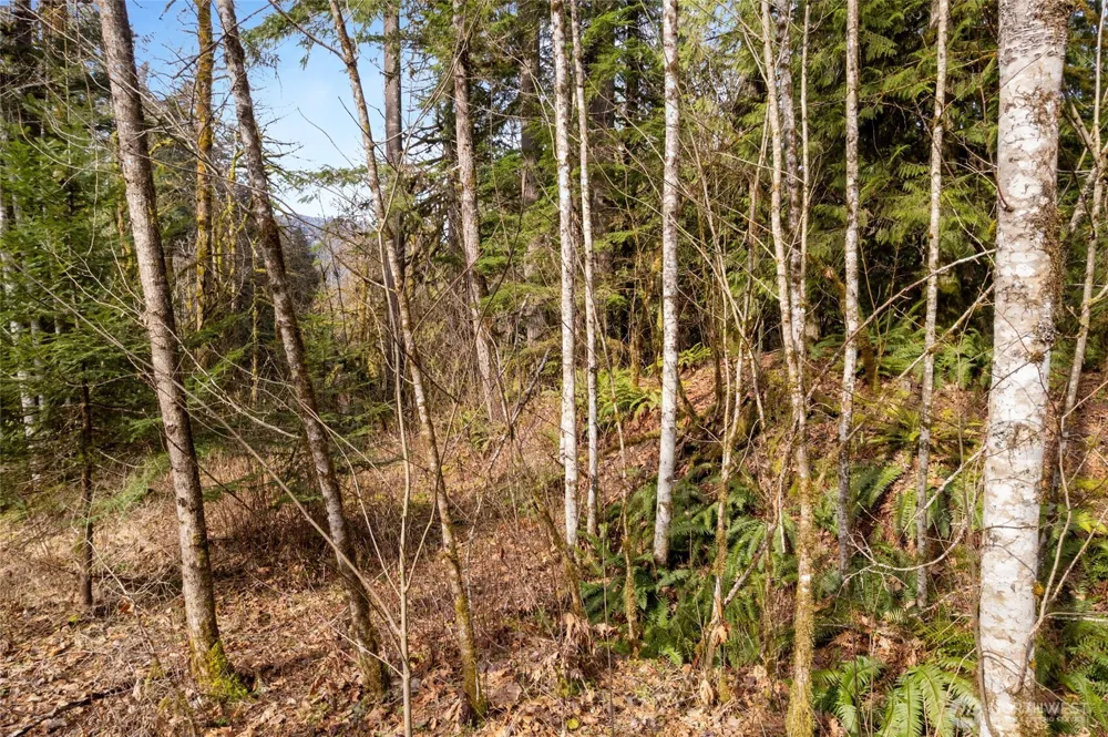 10211 Mt Baker Hwy Deming, WA 98244