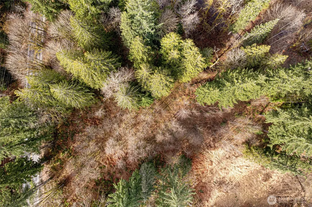 10211 Mt Baker Hwy Deming, WA 98244