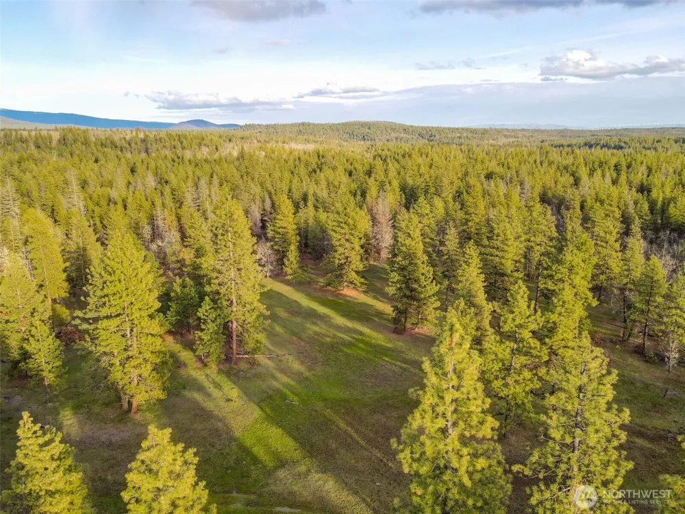 0 Lot 8 Greyback Mountain Road Goldendale, WA 98620