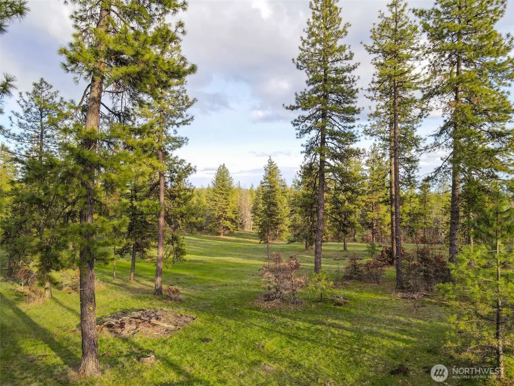 0 Lot 8 Greyback Mountain Road Goldendale, WA 98620
