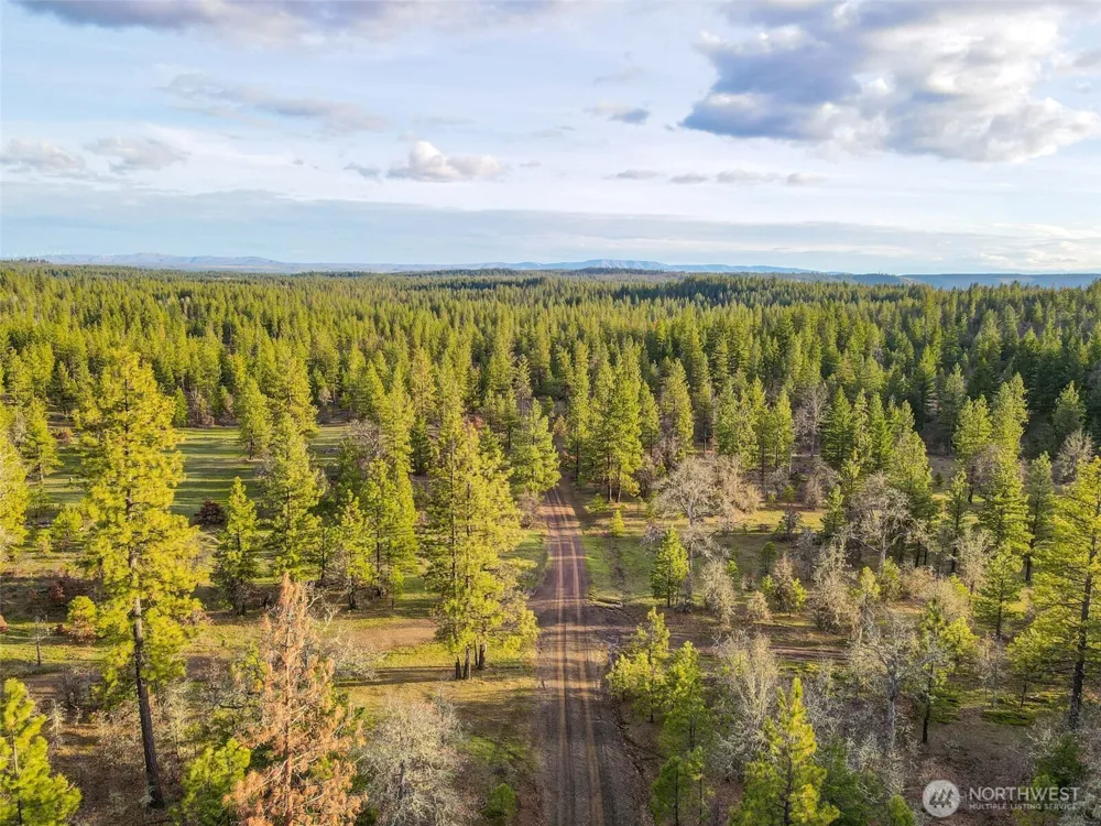 0 Lot 8 Greyback Mountain Road Goldendale, WA 98620